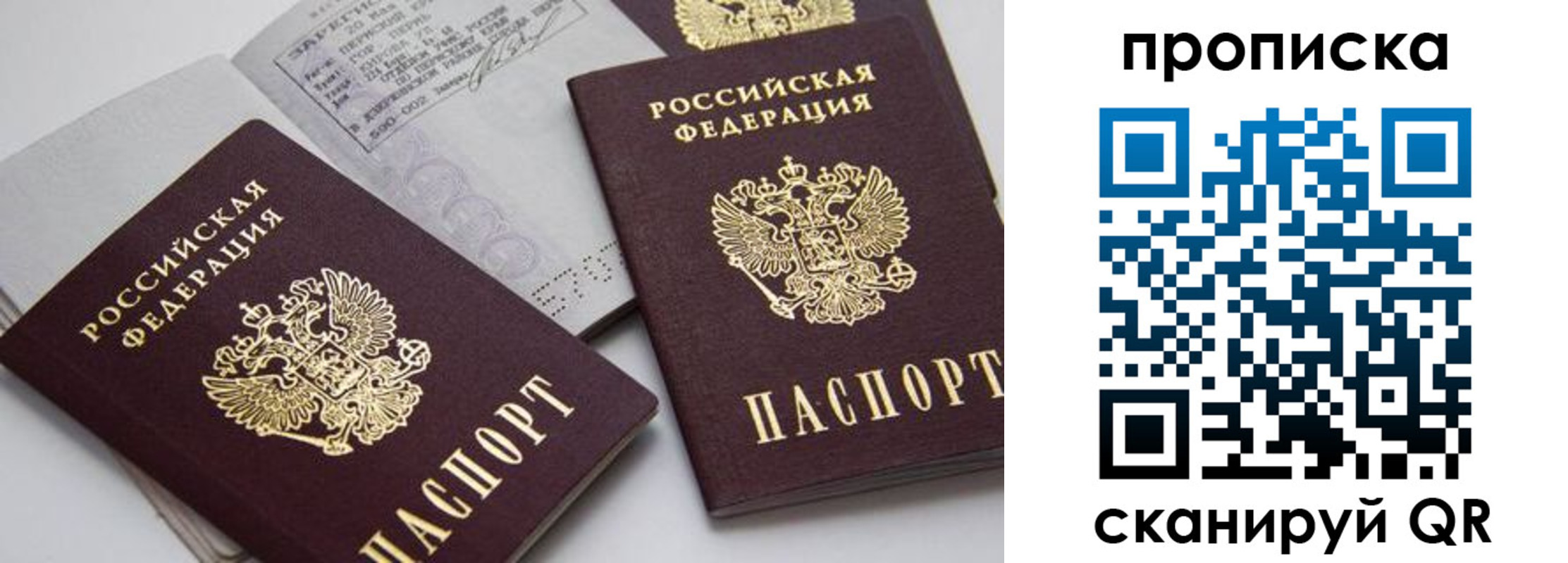 прописка в Сальске